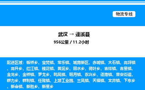 武漢到蓬溪縣物流專(zhuān)線(xiàn)-武漢至蓬溪縣貨運(yùn)公司