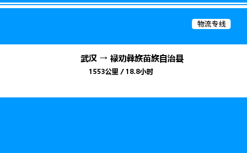 武漢到祿勸縣物流專(zhuān)線-武漢至祿勸縣貨運(yùn)公司
