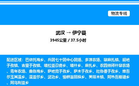 武漢到伊寧縣物流專(zhuān)線-武漢至伊寧縣貨運(yùn)公司